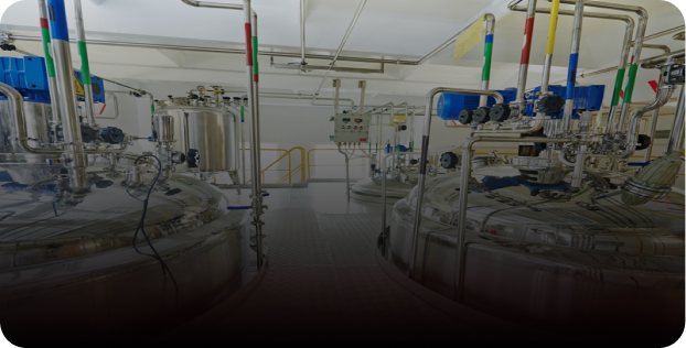 Product Development & Innovation